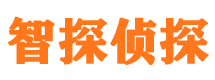 剑河侦探公司